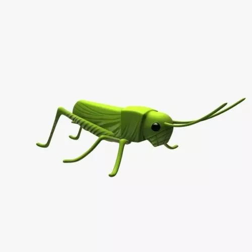 Cricket Insect Grasshopper 3d model