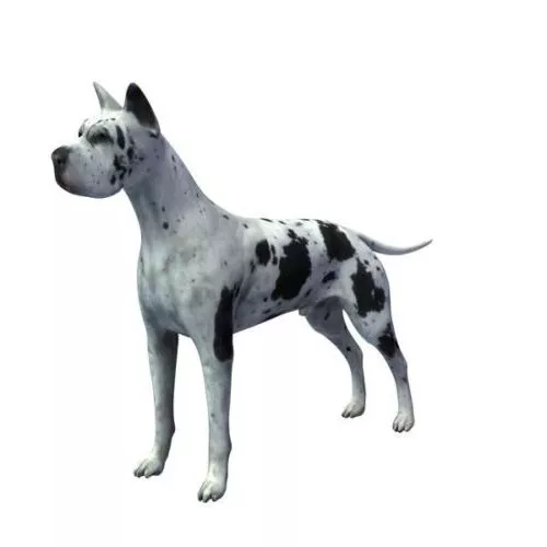 Lowpoly Cardigan Welsh Corgi 3d model