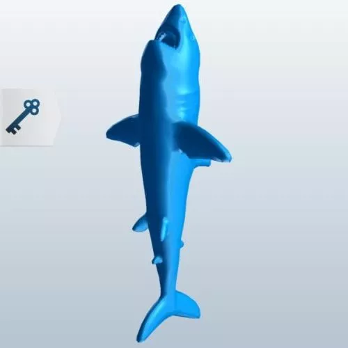 Shark Fossil Sculpture 3d model