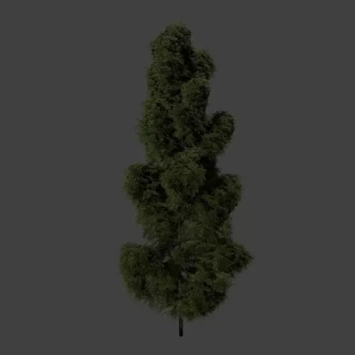 Green Pine Tree 3d model Green Pine Tree 3d model