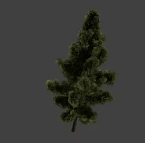 European Green Tree 3d model