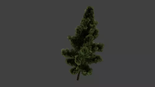 European Green Tree 3d model European Green Tree 3d model