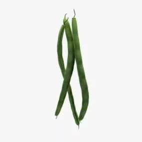 Green Beans 3d model