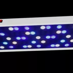Led Light Plate 3d model