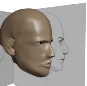 Human Man Head Sculpt 3d model