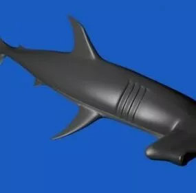Hammerhead Sea Shark 3d model