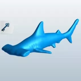 Hammerhead Shark 3d model