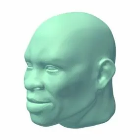 Man Head Printable 3d model