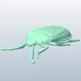 Harlequin Bug 3d model