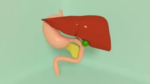 Small Tooth 3d model
