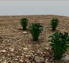 Yerba Plant 3d model