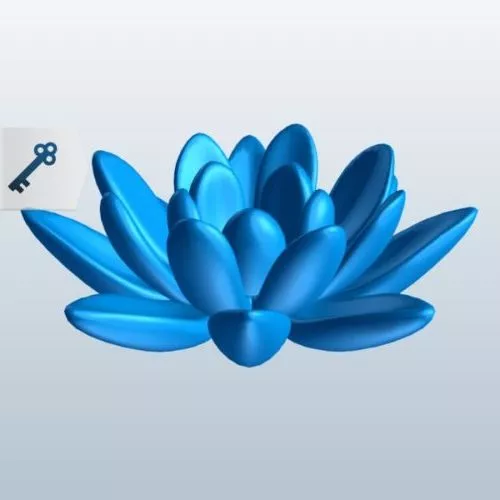 Indian Lotus Flower 3d model Indian Lotus Flower 3d model