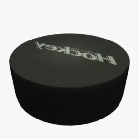 Sport Hockey Puck 3d model