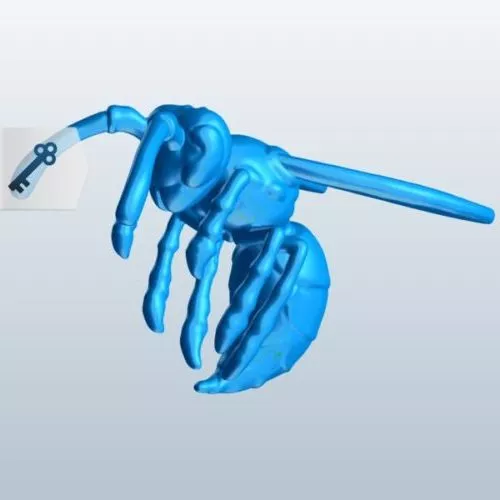 Lowpoly Fly 3d model
