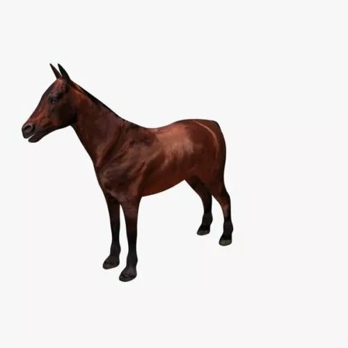 Animated Horse Rigged 3d model