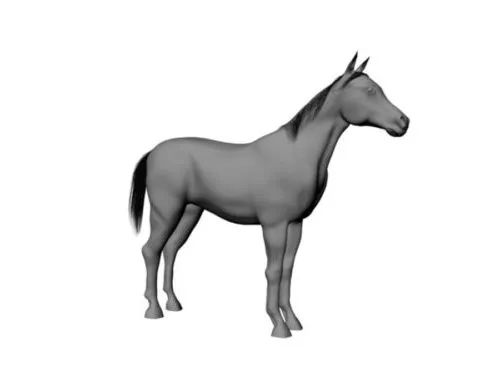 Horse With Rigged 3d model Horse With Rigged 3d model