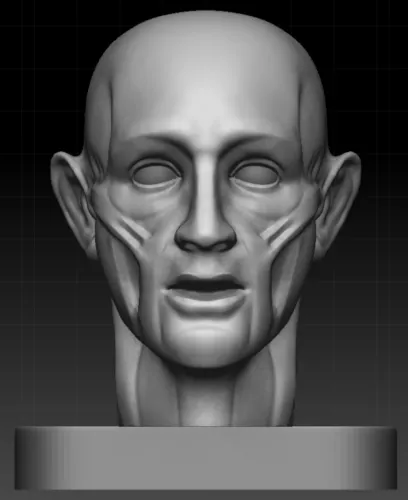 Head Base Mesh With Uvw 3d model