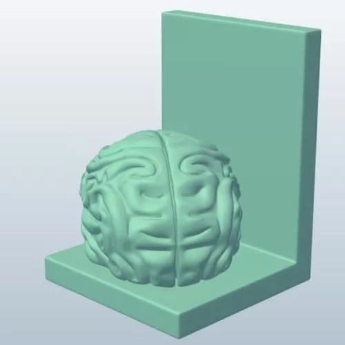 Human Brain Bookend Shaped 3d model Human Brain Bookend Shaped 3d model