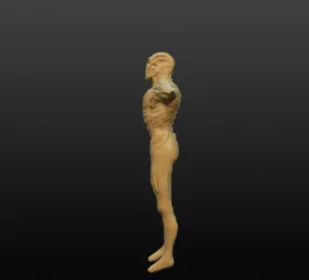 Humanoid Creature Man 3d model