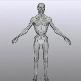 Husk Zombie Rigged 3d model