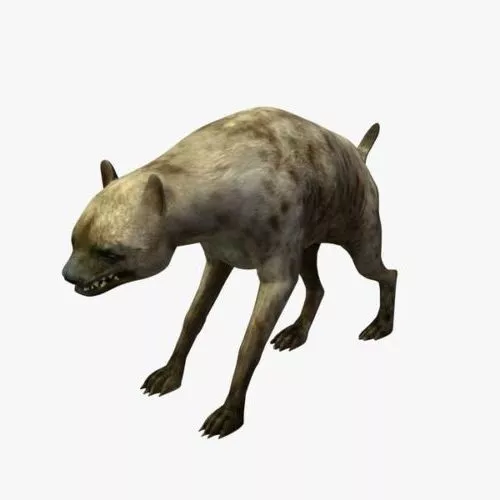 Lowpoly Hyena Animal 3d model Lowpoly Hyena Animal 3d model
