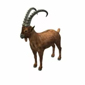 Ibex 3d model