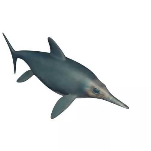 Pearl Gourami Sea Fish 3d model