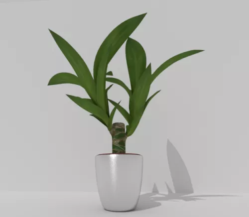 Minimalist Potted Plant 3d model
