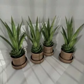 Office Indoor Potted Plant 3d model