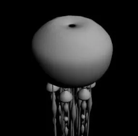 Jellyfish 3d model
