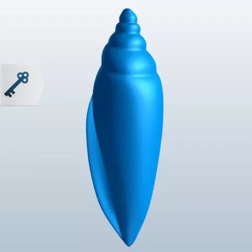 Junonia Shell Animal 3d model Junonia Shell Animal 3d model