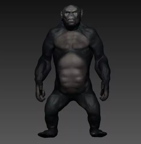 Cartoon Monkey Rig 3d model