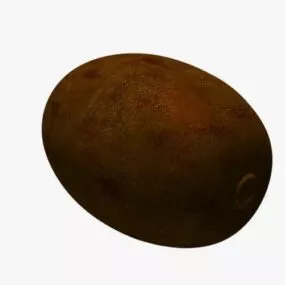 Kiwi 3d model