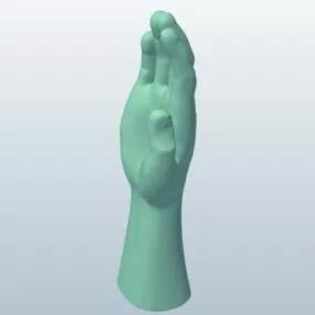 Kungfu Hand 3d model
