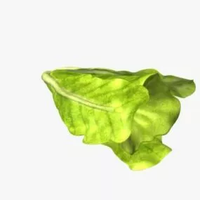Lettuce Romaine Vegetable 3d model