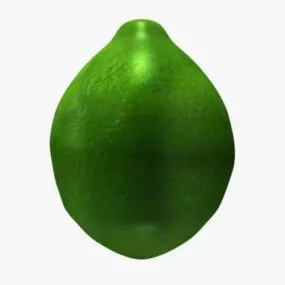 Green Lime Fruit 3d model