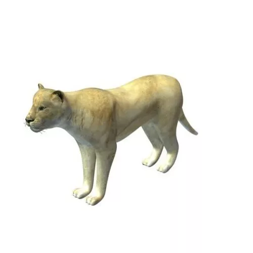 Stone Chinese Lion 3d model
