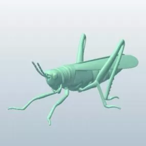 Locust 3d model