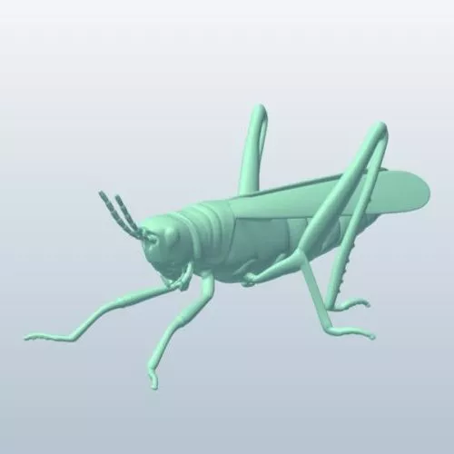Locust 3d model Locust 3d model