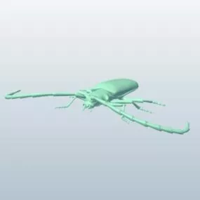 Longhorn Beetle V1 3d model