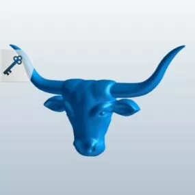 Longhorn Head 3d model