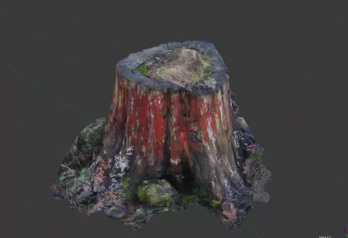 Tree Chunk 3d model Tree Chunk 3d model