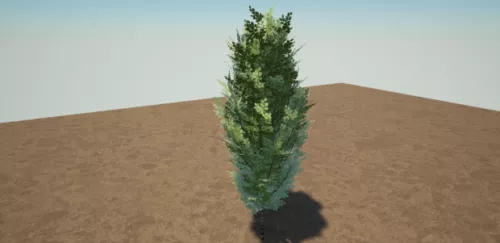 Tree Small Linden 3d model Tree Small Linden 3d model