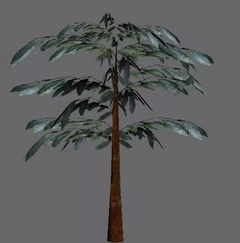 Lowpoly Tree Less Leafs 3d model Lowpoly Tree Less Leafs 3d model