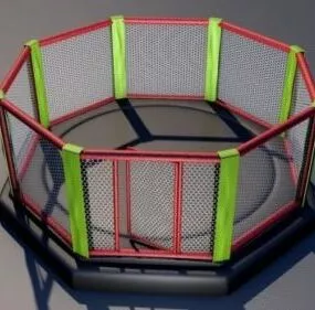 Mma Octagon Ring 3d model