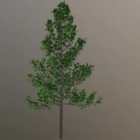 Nature Maple Tree V1 3d model