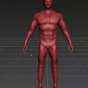 Sculpture Male Base Mesh 3d model