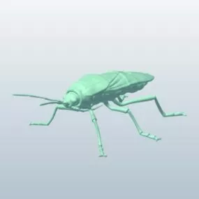 Milkweed Bug 3d model