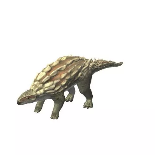 Minmi Reptiles Animal 3d model Minmi Reptiles Animal 3d model