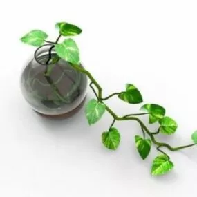 Potted Money Plant 3d model